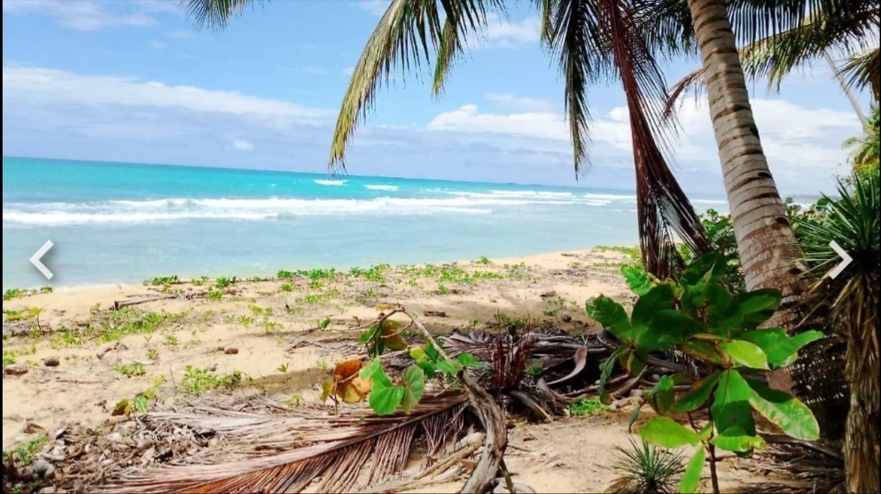 Terreno de 1,798 m² con playa en Cosón, Las Terrenas · Photo 3