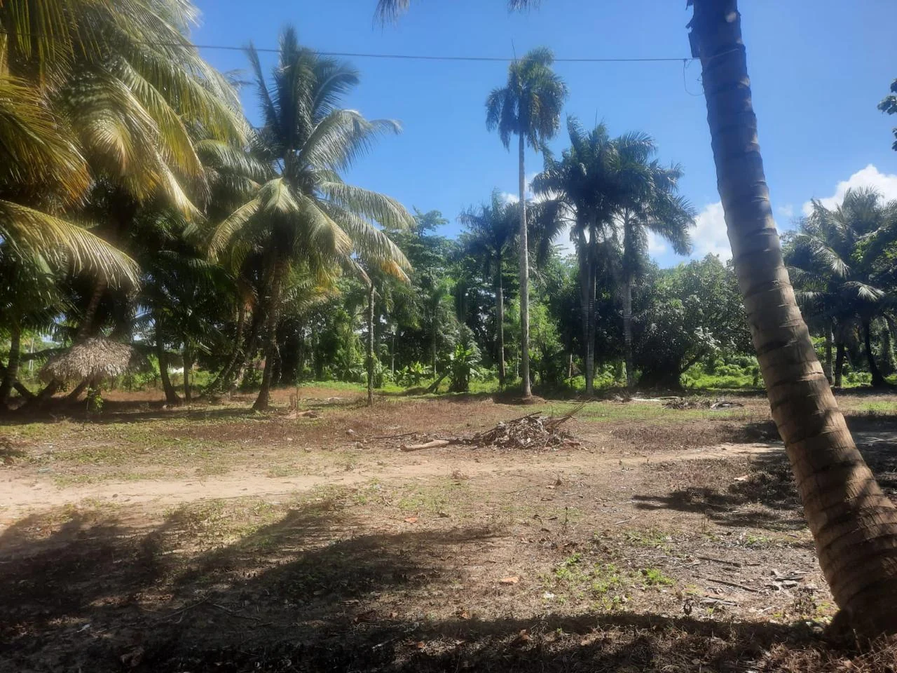 Terrenos frente al mar en Miches, cuatro lotes desde 6,294 m² · Photo 2