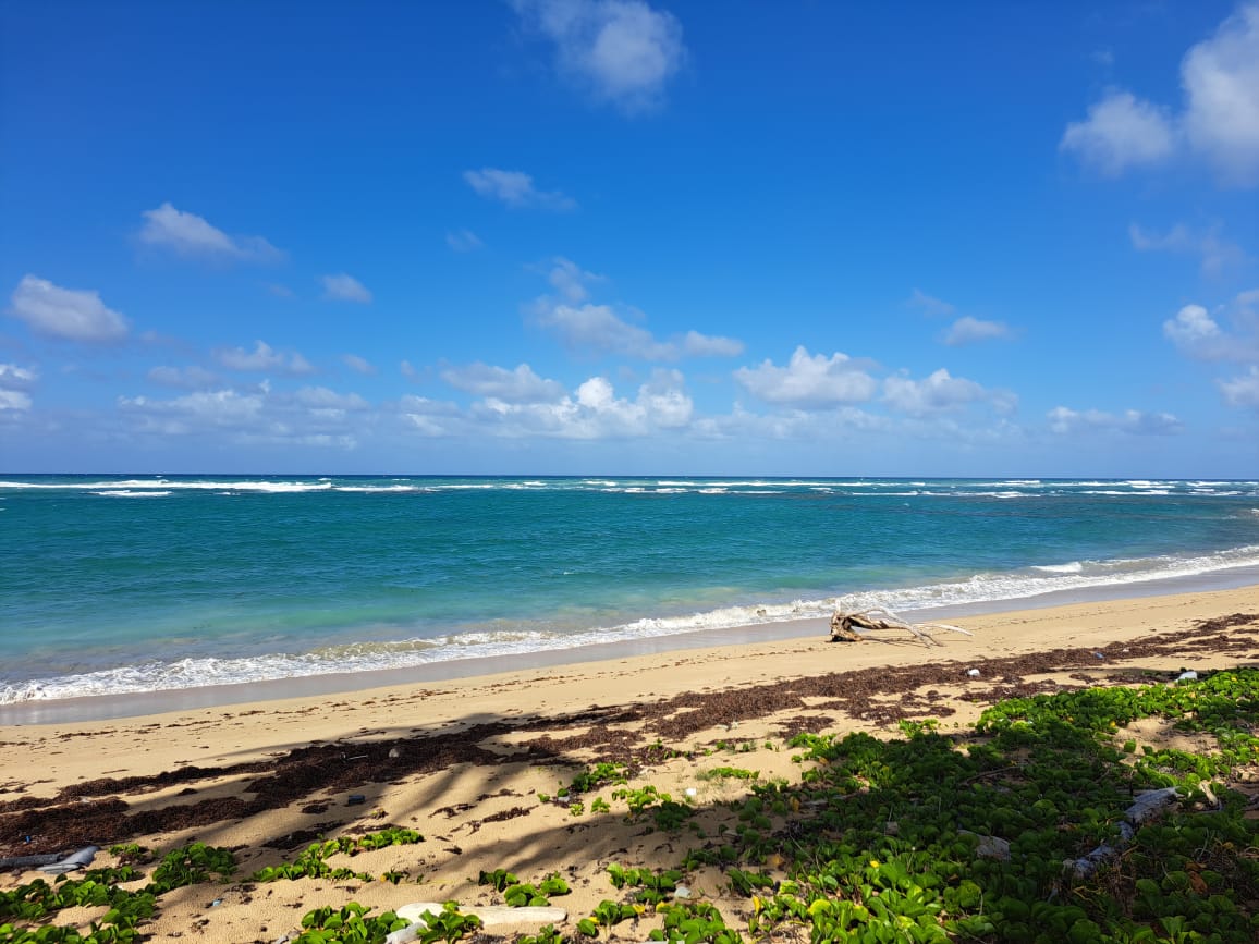 Terreno turístico en Ubero Alto, Punta Cana · Fotografía 3