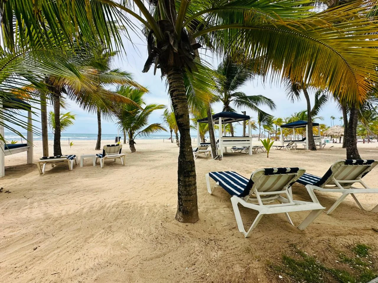 Apartamento amueblado frente al mar en Costa del Sol, piso 2 · Photo 4