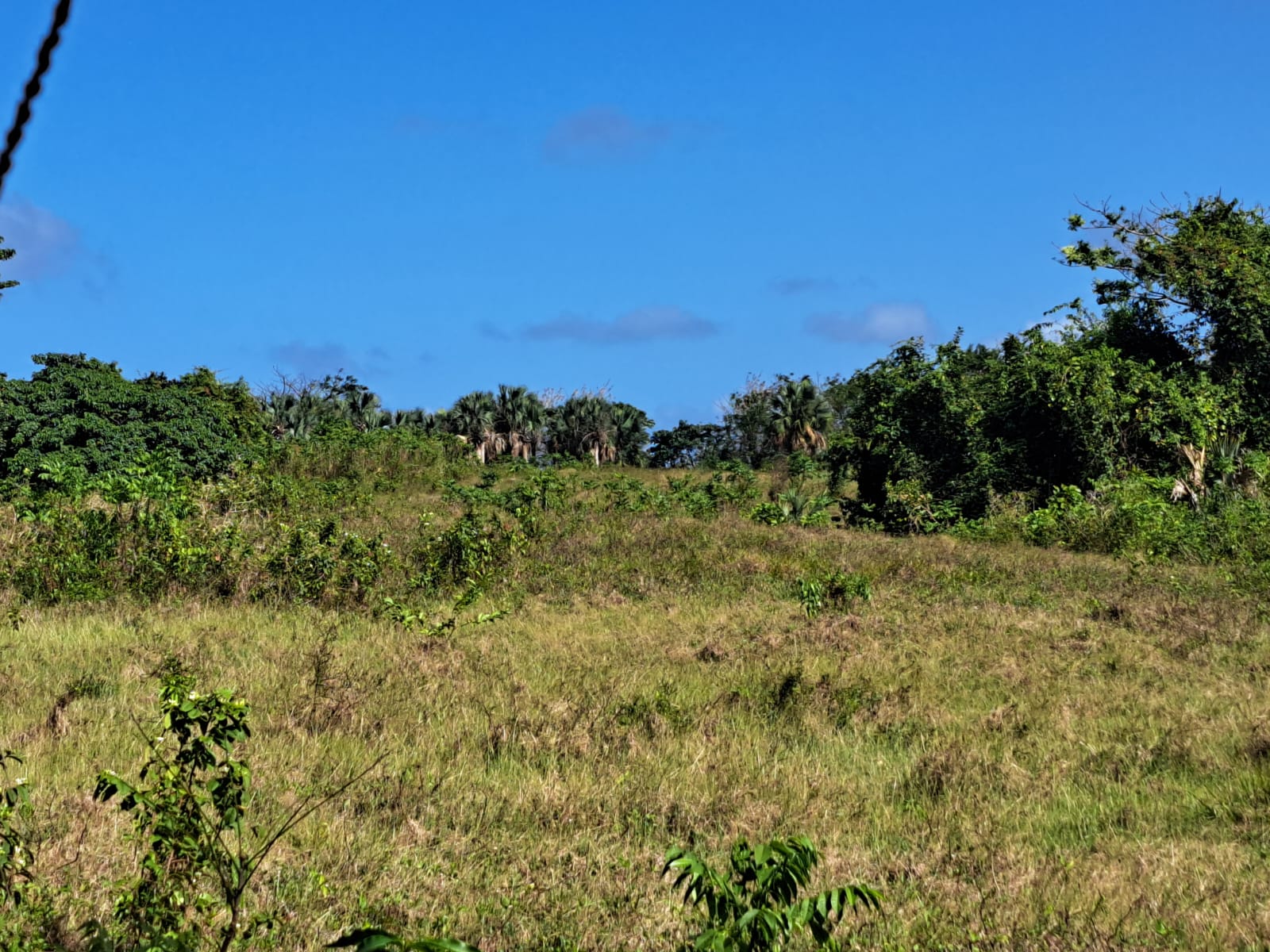 Terreno turístico en Ubero Alto, Punta Cana · Fotografía 5