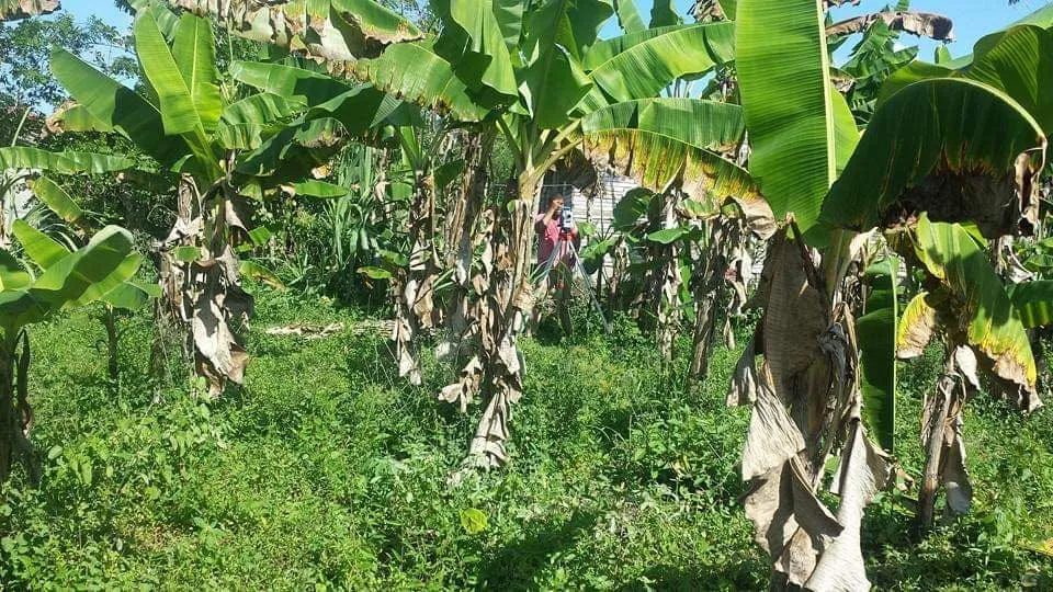 Terreno de 1,458.38 m² en Las Avispas de Maimón, Puerto Plata · Fotografía 5