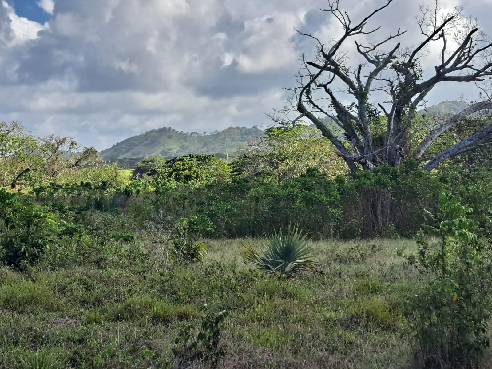 Terreno turístico en Ubero Alto, Punta Cana · Fotografía 2