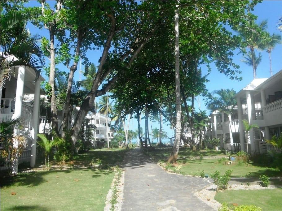 Proyecto Playa Bonita Beach Residences en Las Terrenas · Fotografía 2