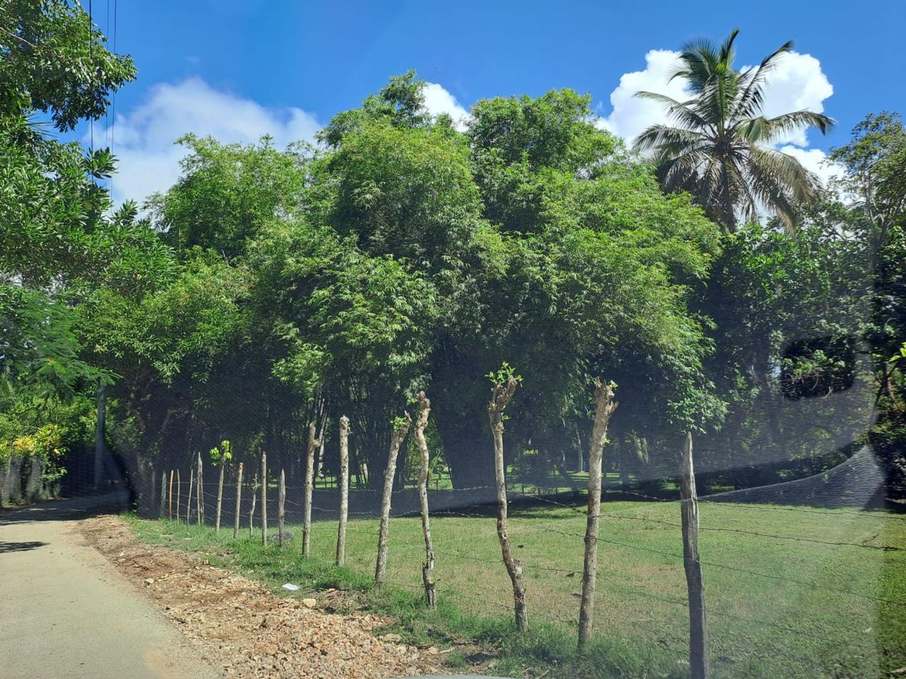 Terreno de 28,000 m² con 6 villas en Playa La Garita, Samaná · Fotografía 5