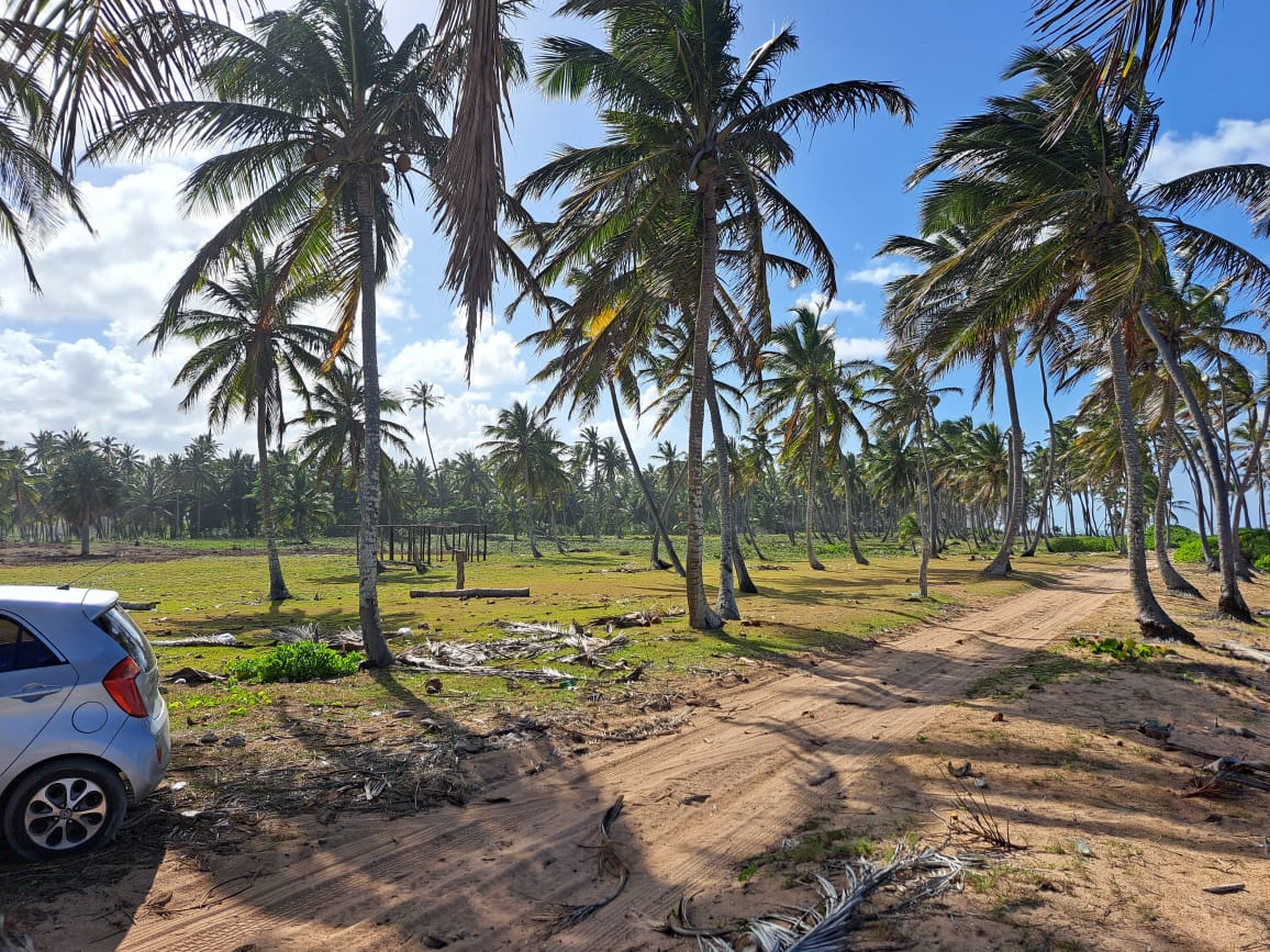Terreno turístico en Ubero Alto, Punta Cana · Fotografía 4
